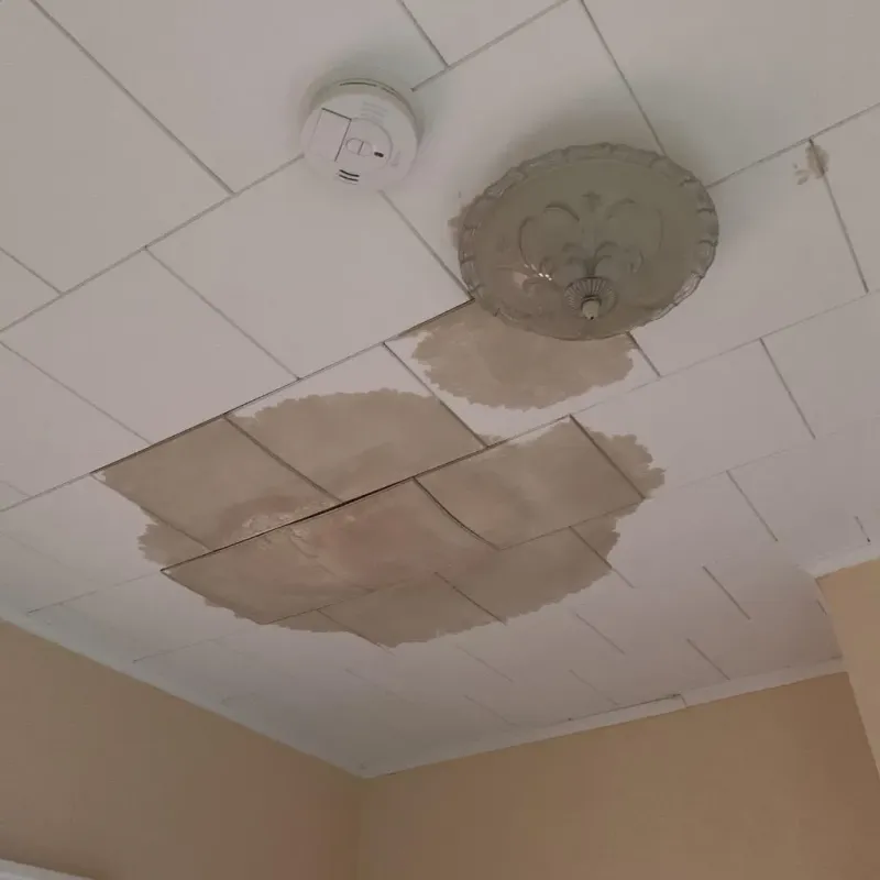 Ceiling Water Damage Repair in Yucca Valley, CA